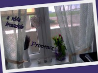 /album/fotogaleria-mark/naposledy-odovzdane72-002-jpg/